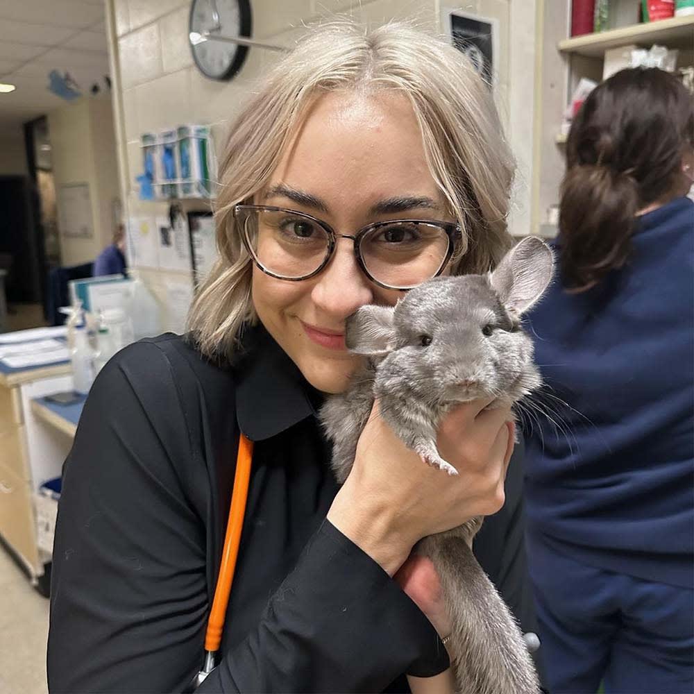 Long Island Veterinarian