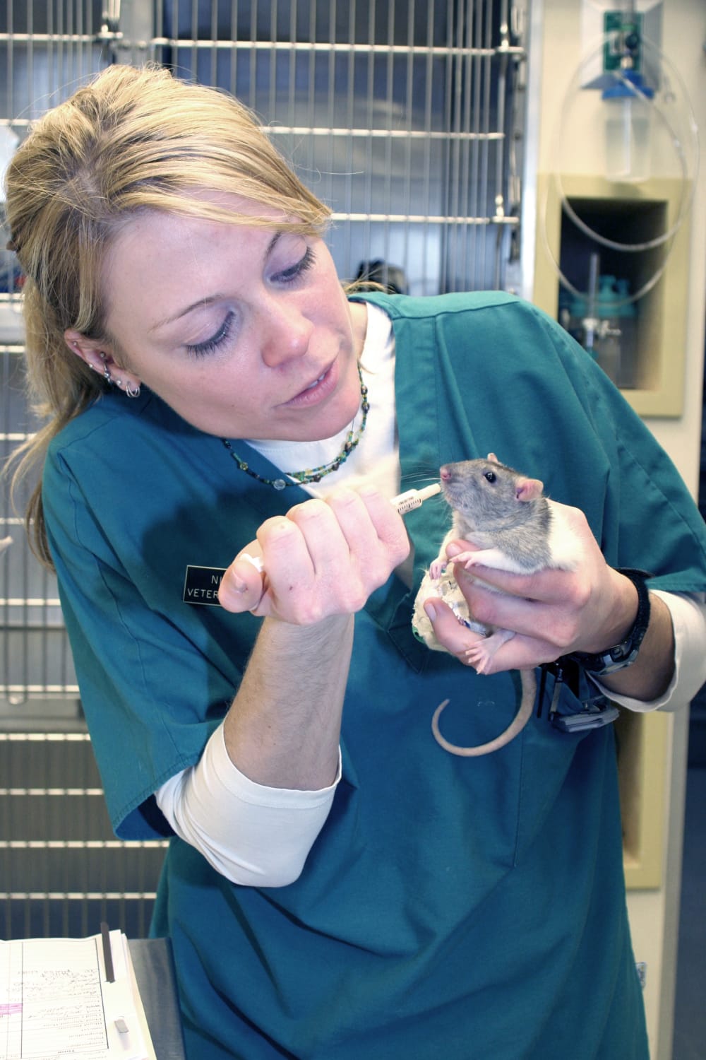 Avian & Exotic Pet Services, Long Island Veterinarians