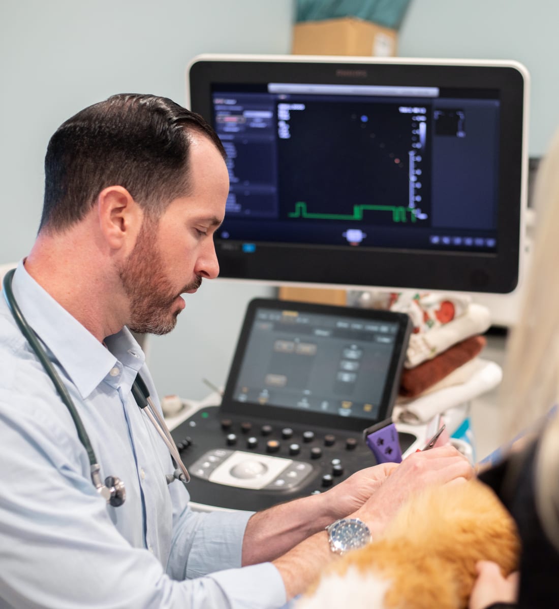 Cardiology Services, Long Island Veterinarian