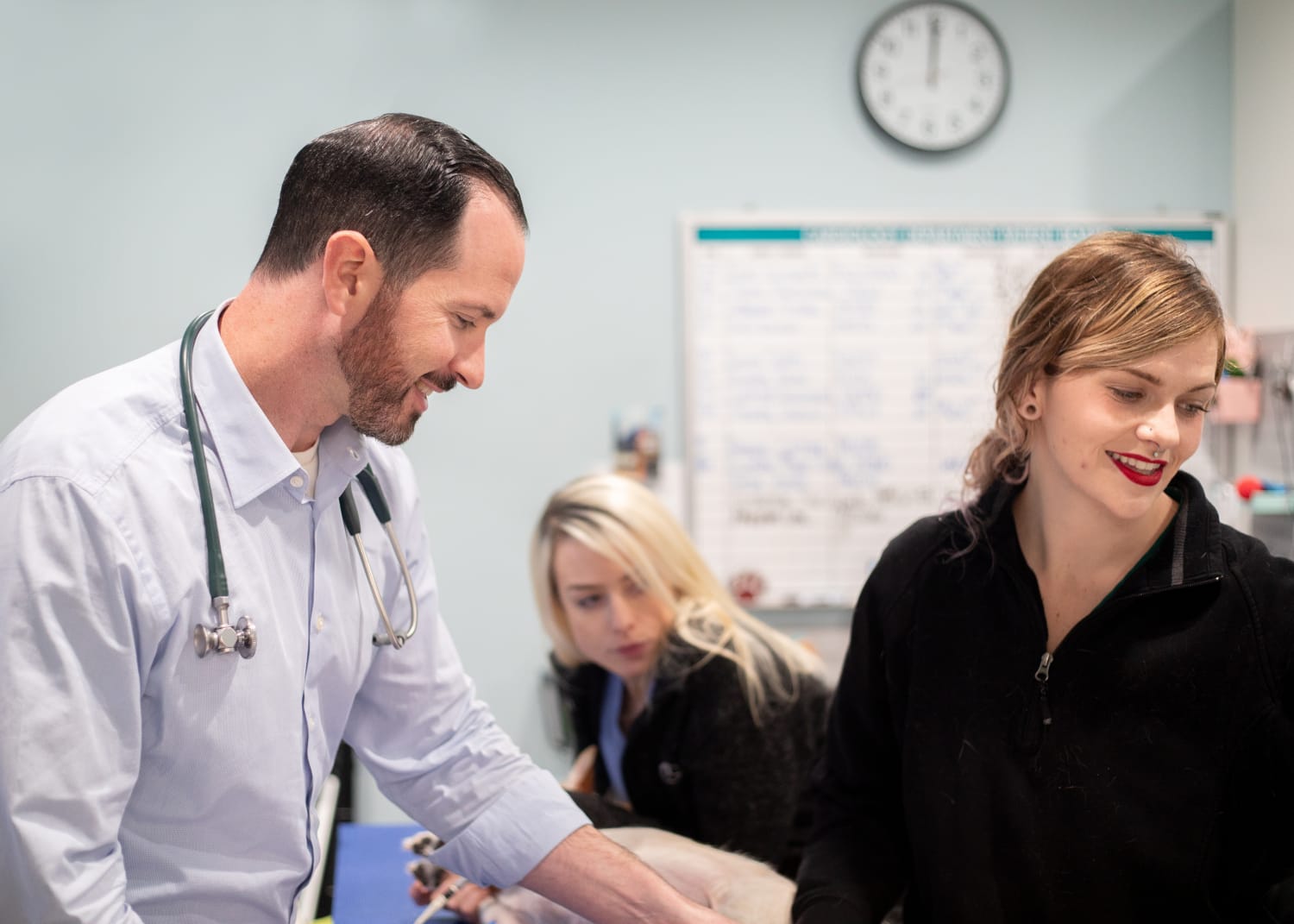 Veterinary Medical Center of Long Island - Photo 4